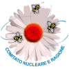 nucleare-e-ragione logo